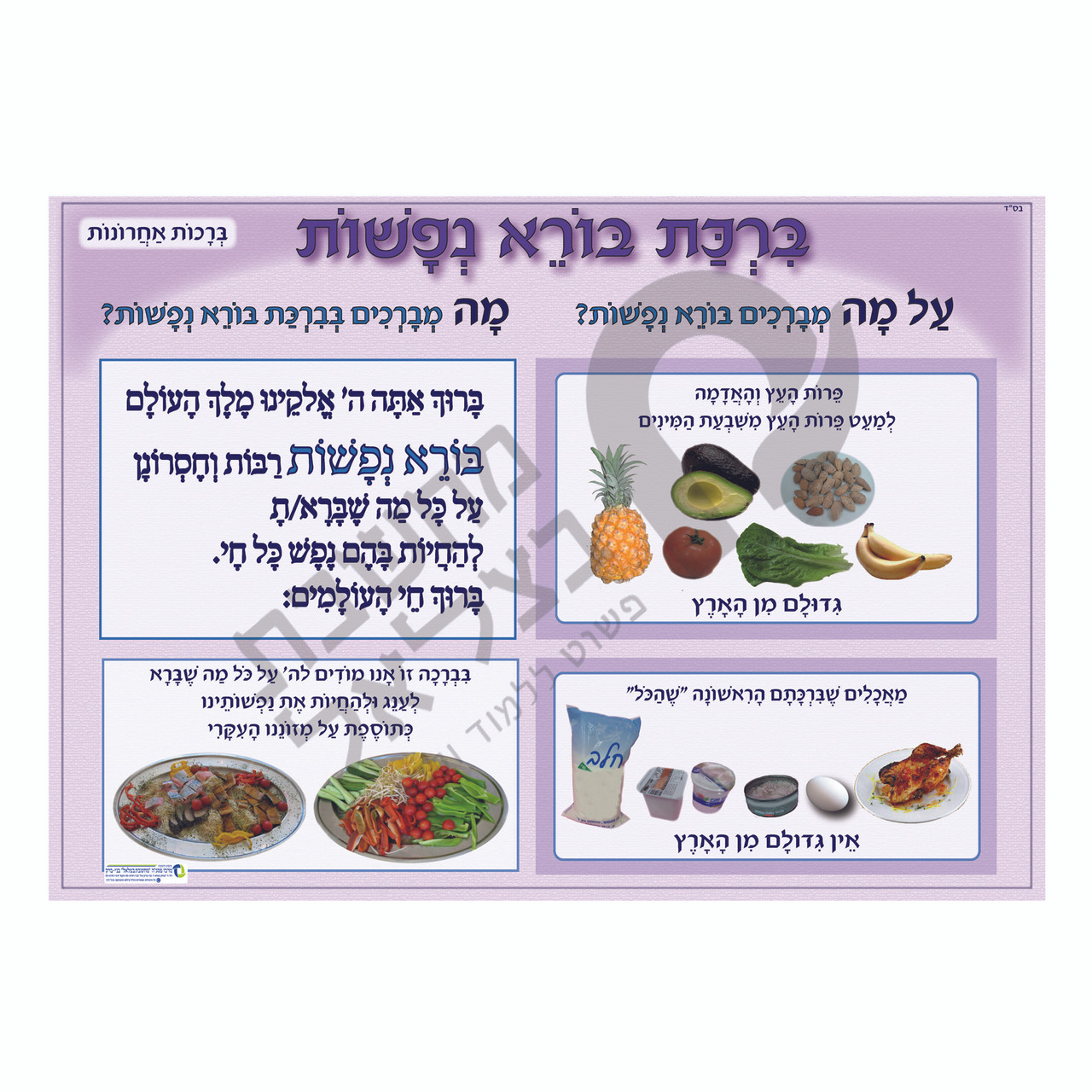 Borei Nefashot - בורא נפשות Poster