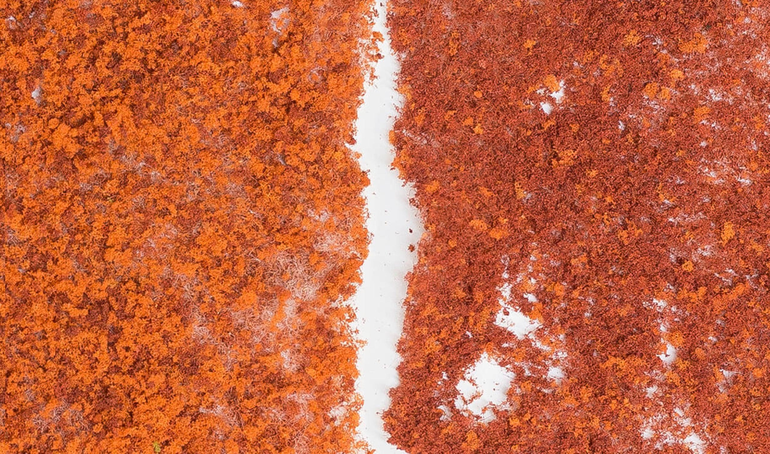 Woodland Scenics Foliage - Late Fall Mix