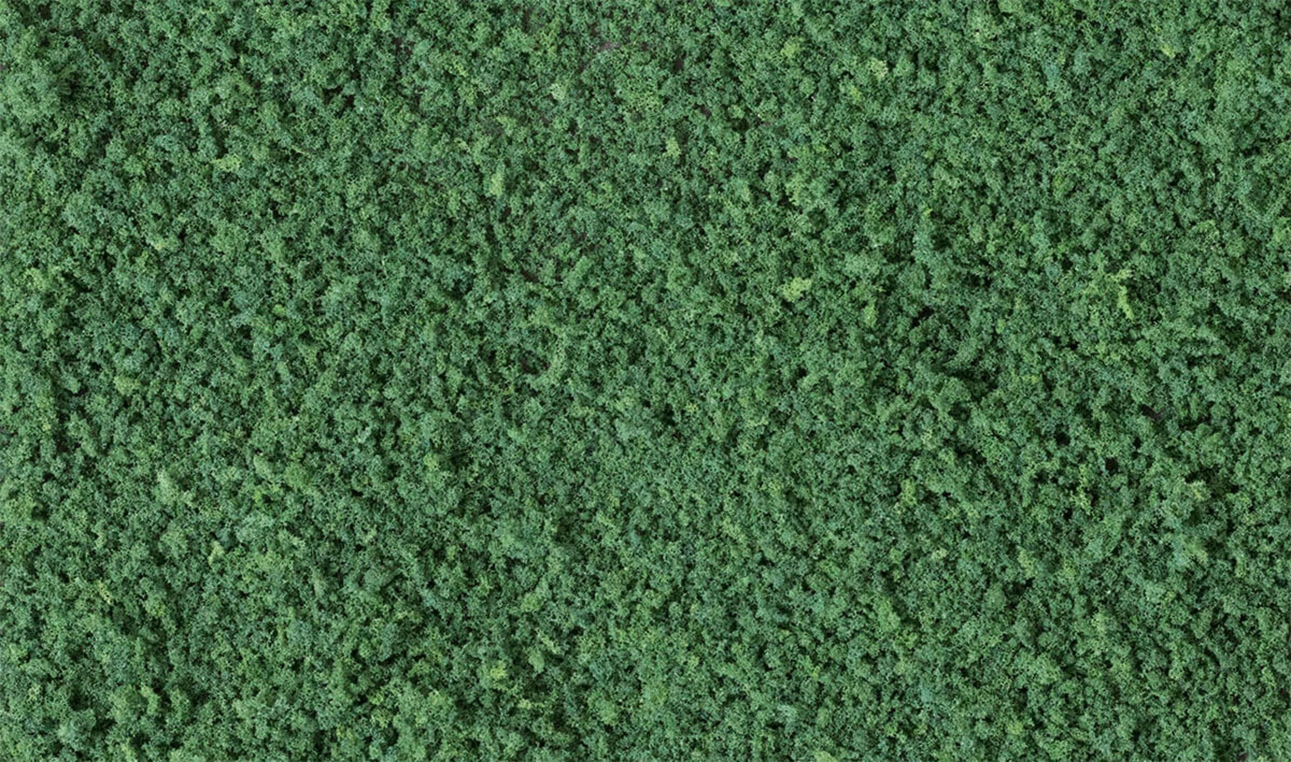 Woodland Scenics oarse Turf - Dark Green (Shaker)