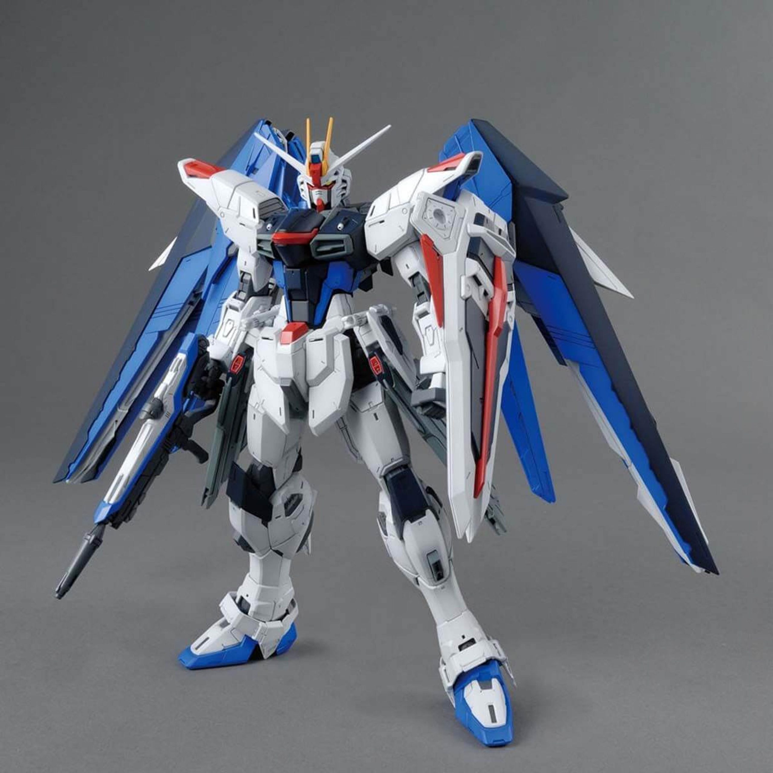1/100 MG MSG SEED Freedom Gundam Ver.2.0