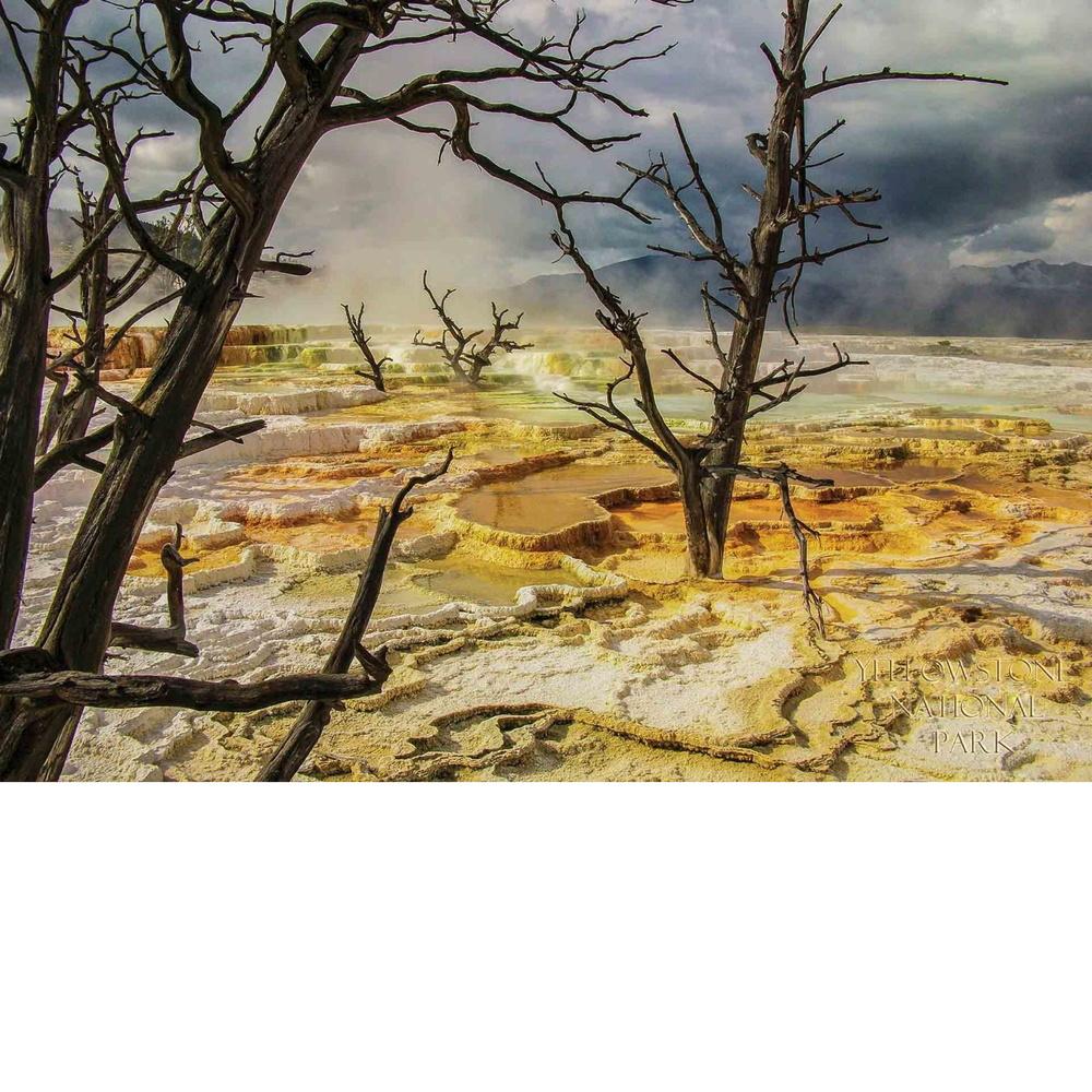 Puzzle - Yellowstone Mammoth Upper Terrace