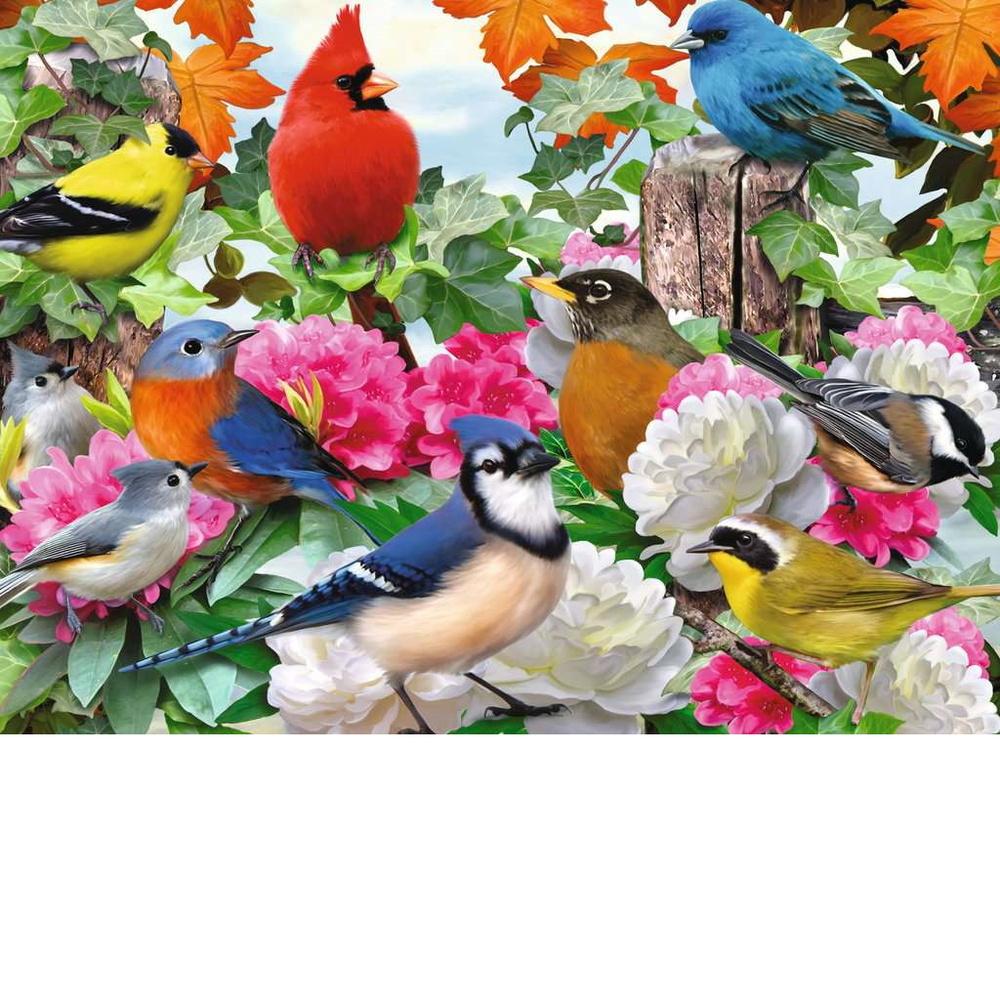 Puzzle - Garden Birds 500pc Adult Puzzle
