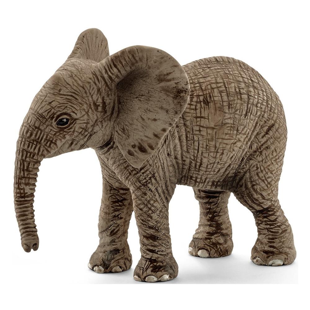 African Elephant Calf