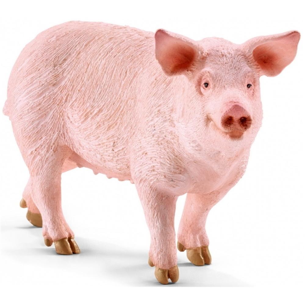 Schleich Pig