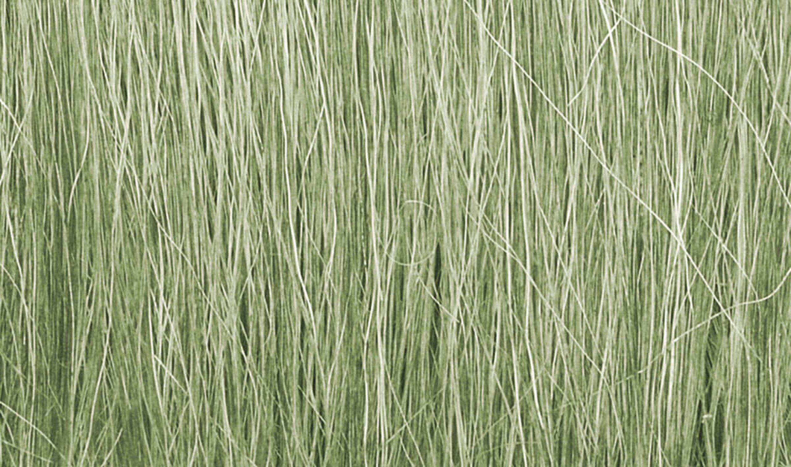 Woodland Scenics Field Grass - Light Green