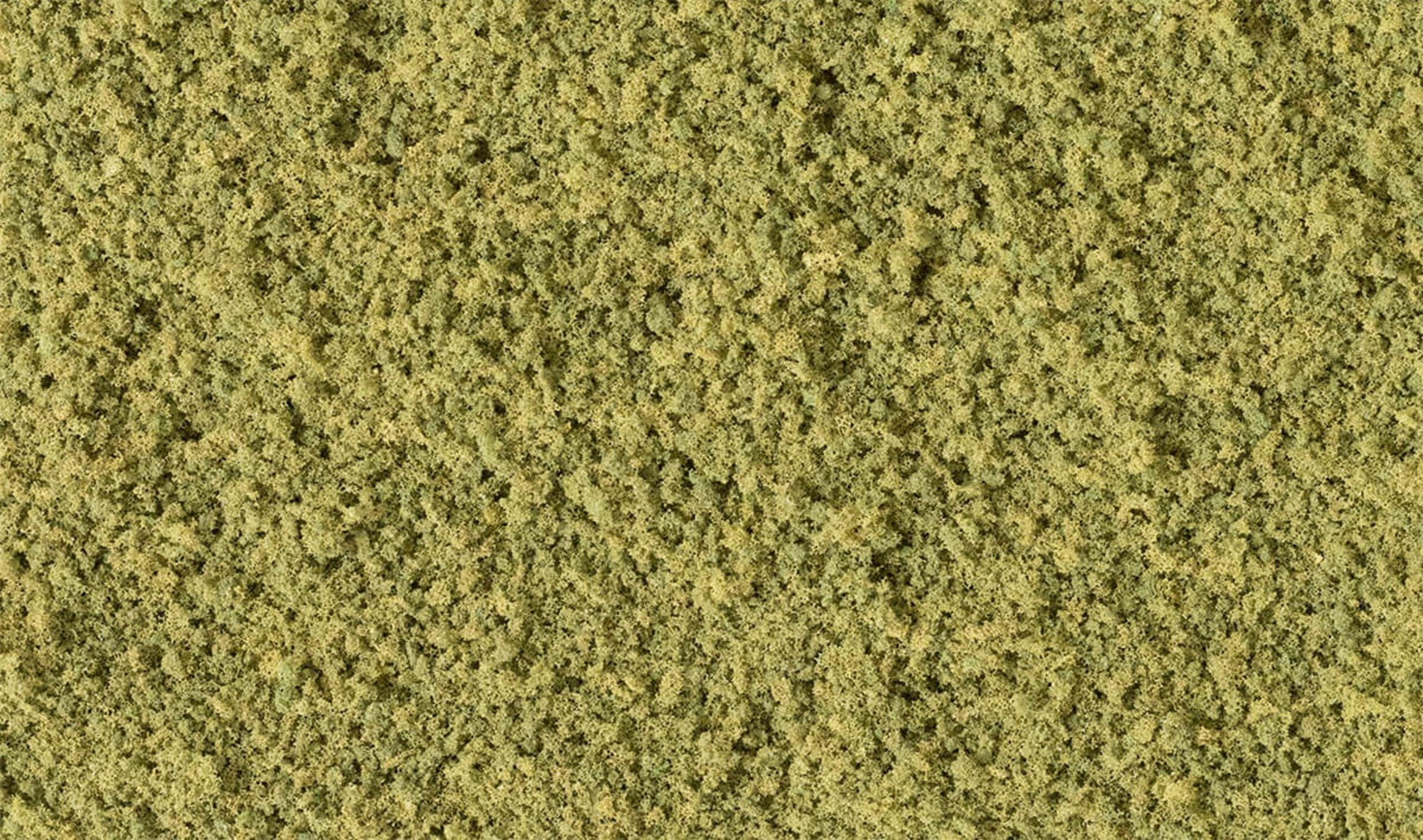 Woodland Scenics Coarse Turf - Burnt Grass (Shaker)