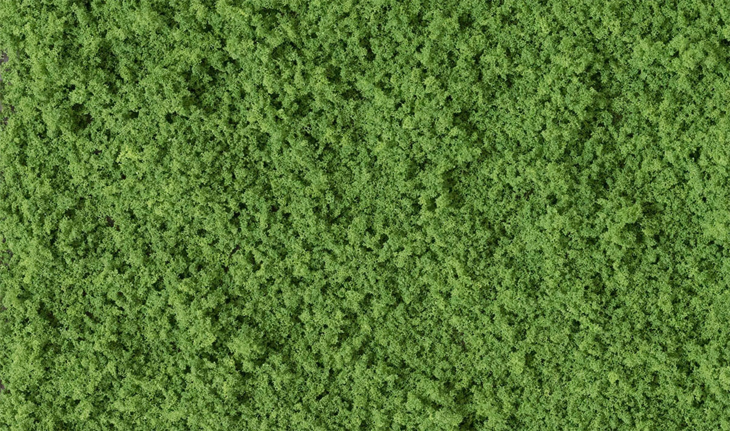 Woodland Scenics Coarse Turf - Medium Green (Shaker)