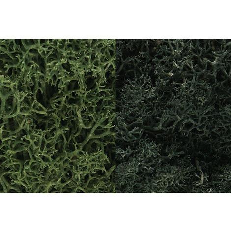 Scenic Lichen Dark Green Mix 3 Quarts