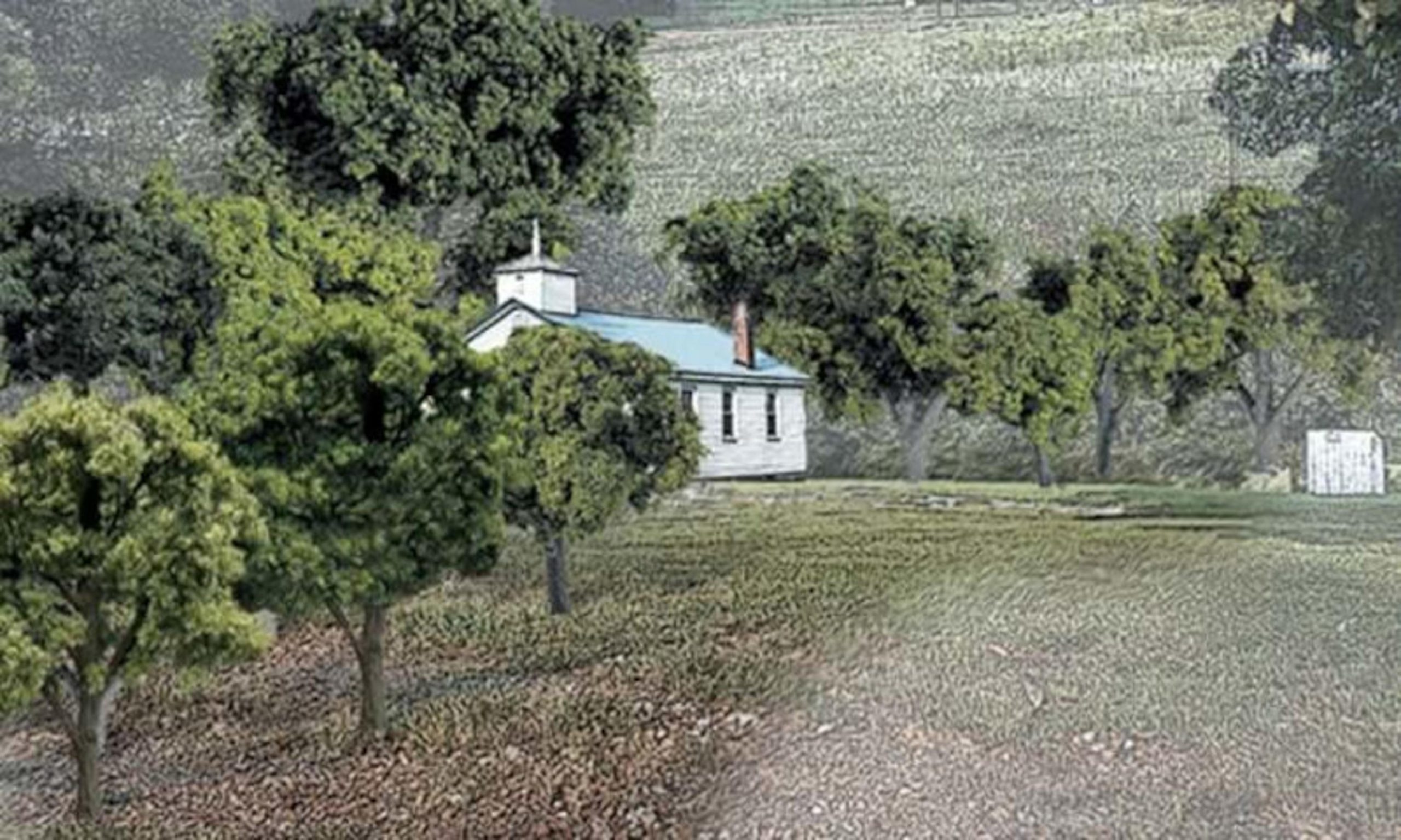 Woodland Scenics Mixed Green Trees (.75-2in, 38 pc)