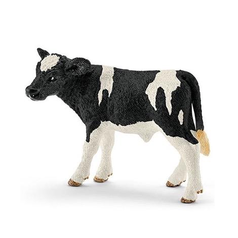 Holstein Calf