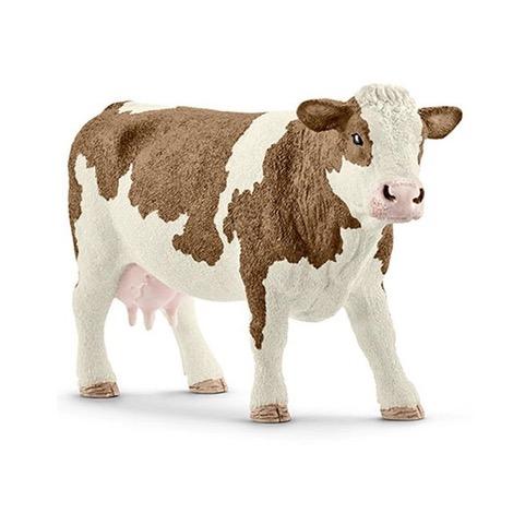 Simmental Cow