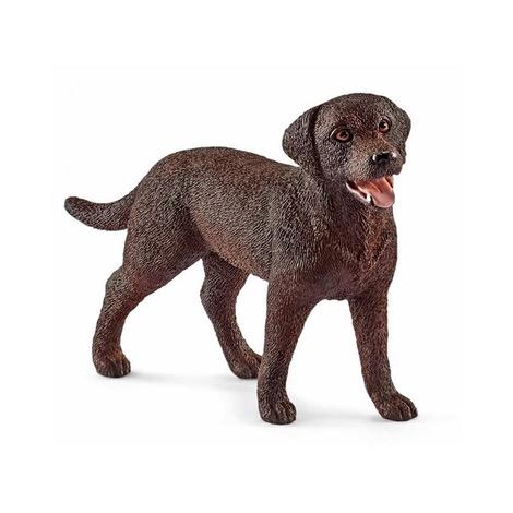 Labrador Retriever, Female