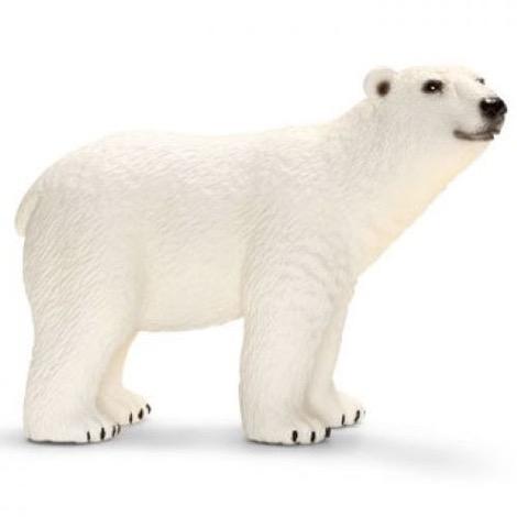 Polar Bear 2018