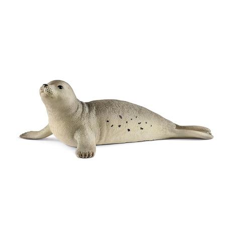 Seal 2018