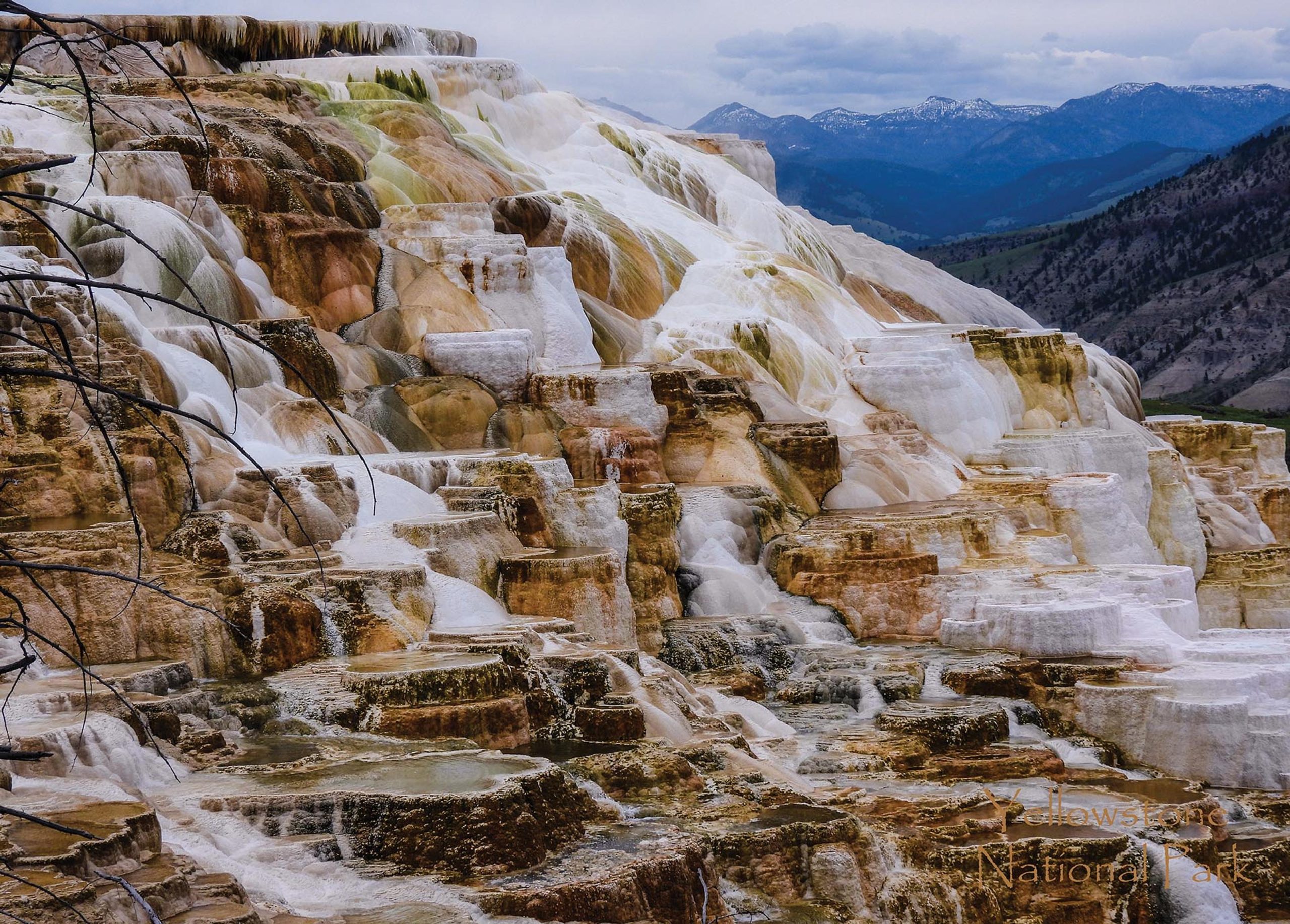 Yellowstone National Park Canary Spring Puzzle (1000 pc)