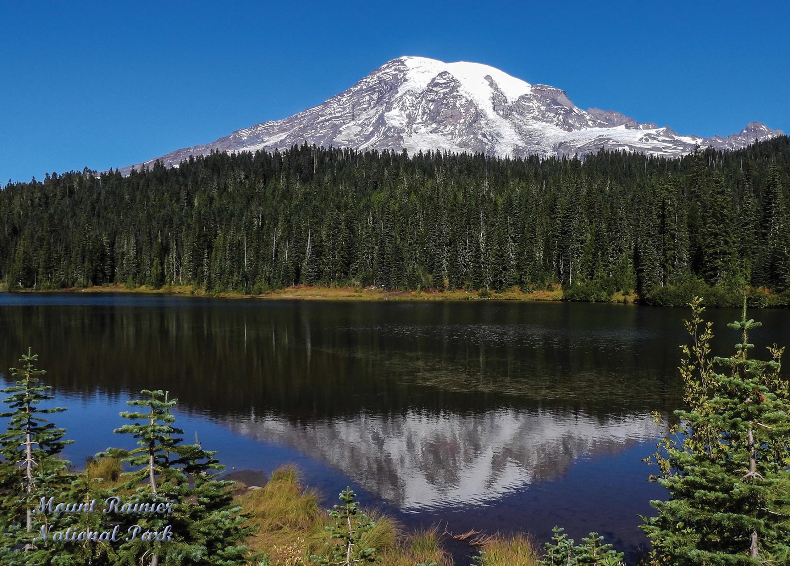 Mount Rainer National Park Reflection Lake Puzzle (1000 pc)