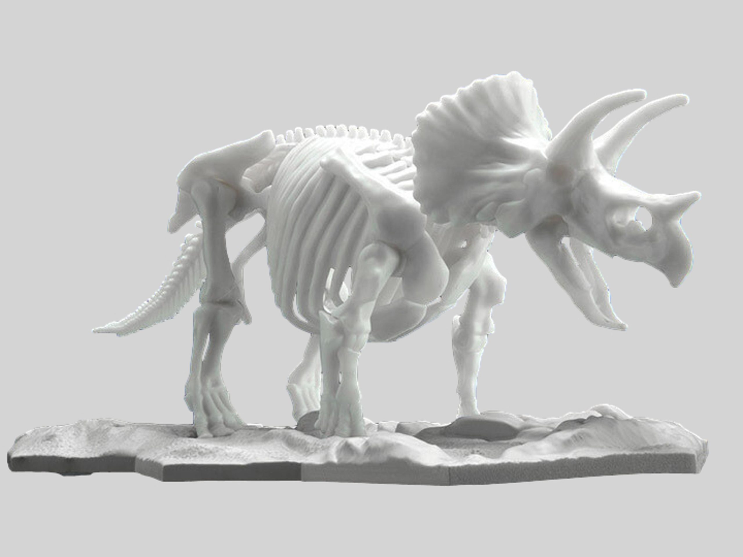 Bandai Limex Triceratops Model Kit