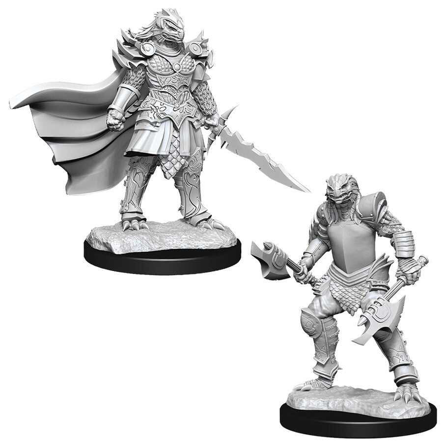 D&D: Nolzur's Marvelous Miniatures - Dragonborn Fighter Female (90302)