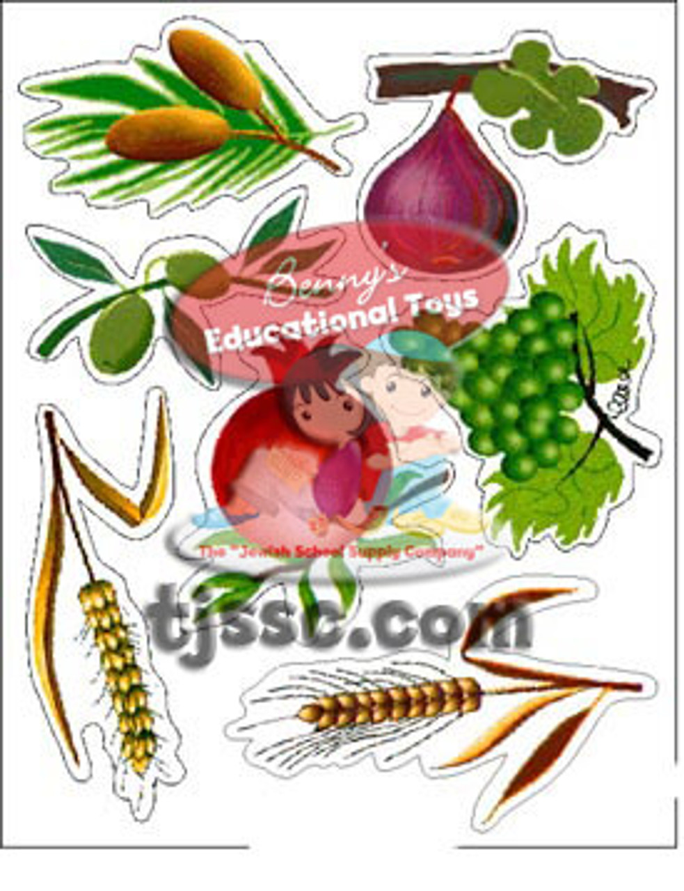 Seven Species of Israel Card Stock (20 Sets)