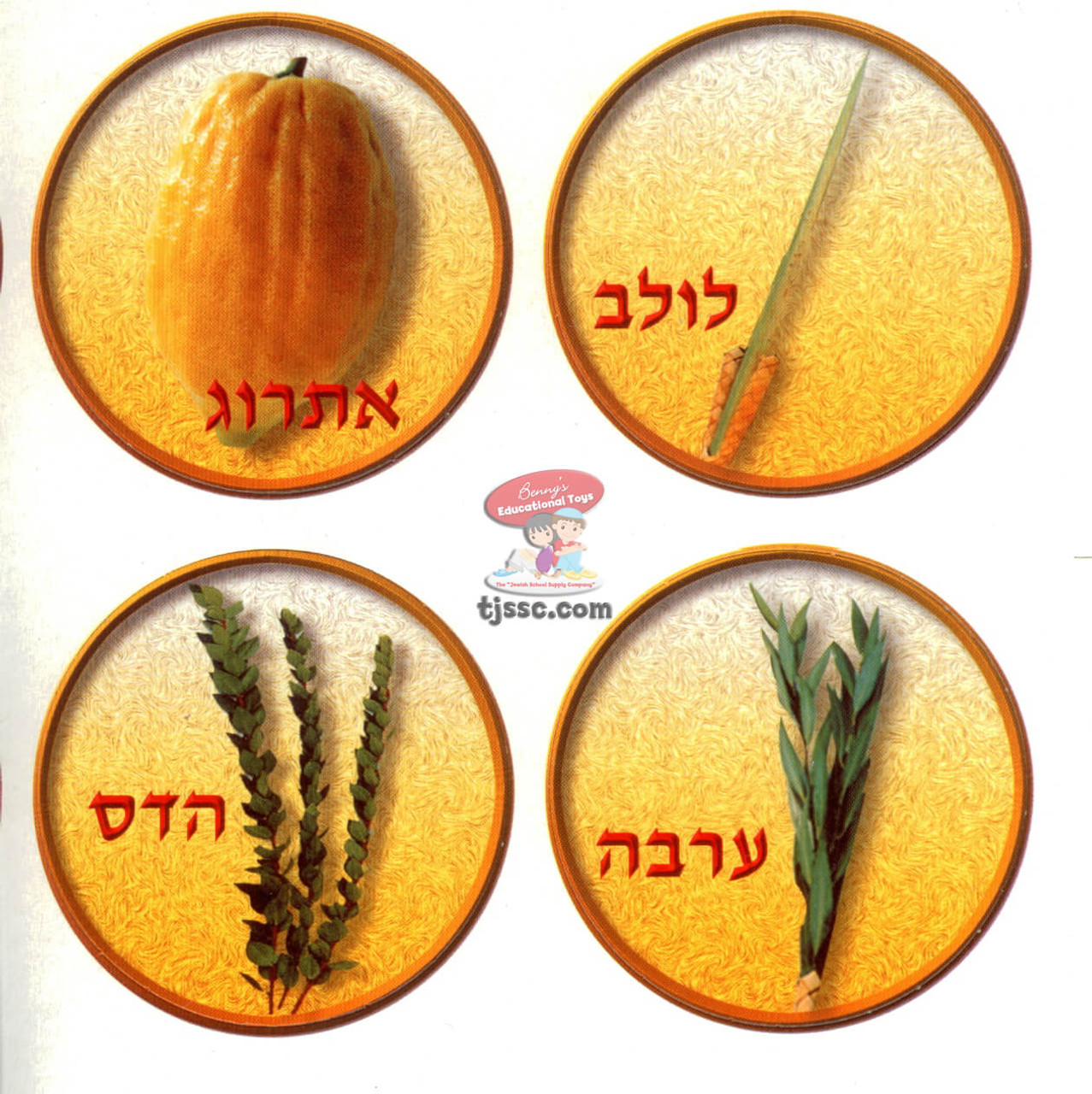 4 Species in a circle Cutouts 2.75"X2.75" Card Stock (20 Sets)