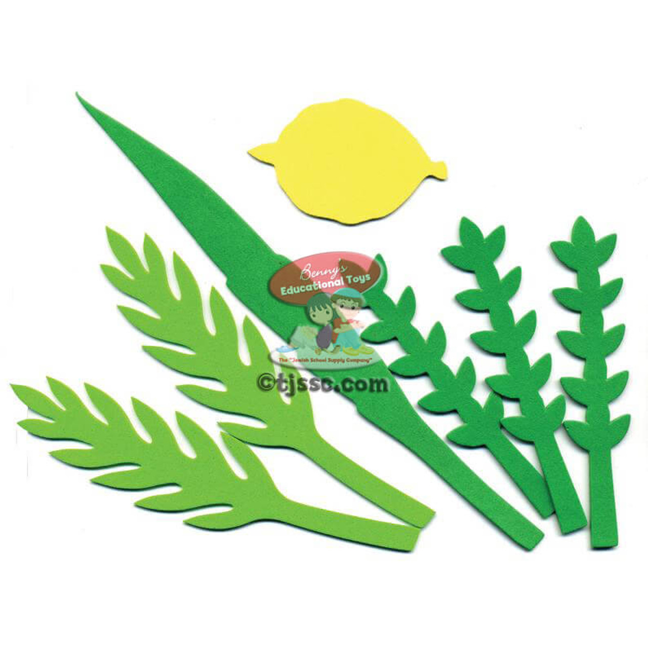 4 HaMinim Foam Shapes