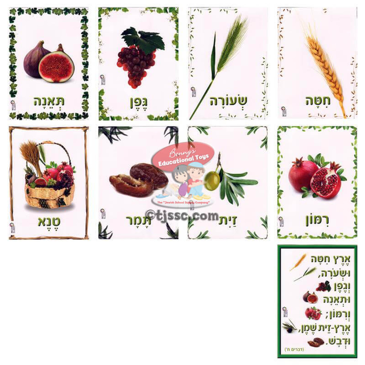 7 HaMinim Picture Set (The 7 Species)