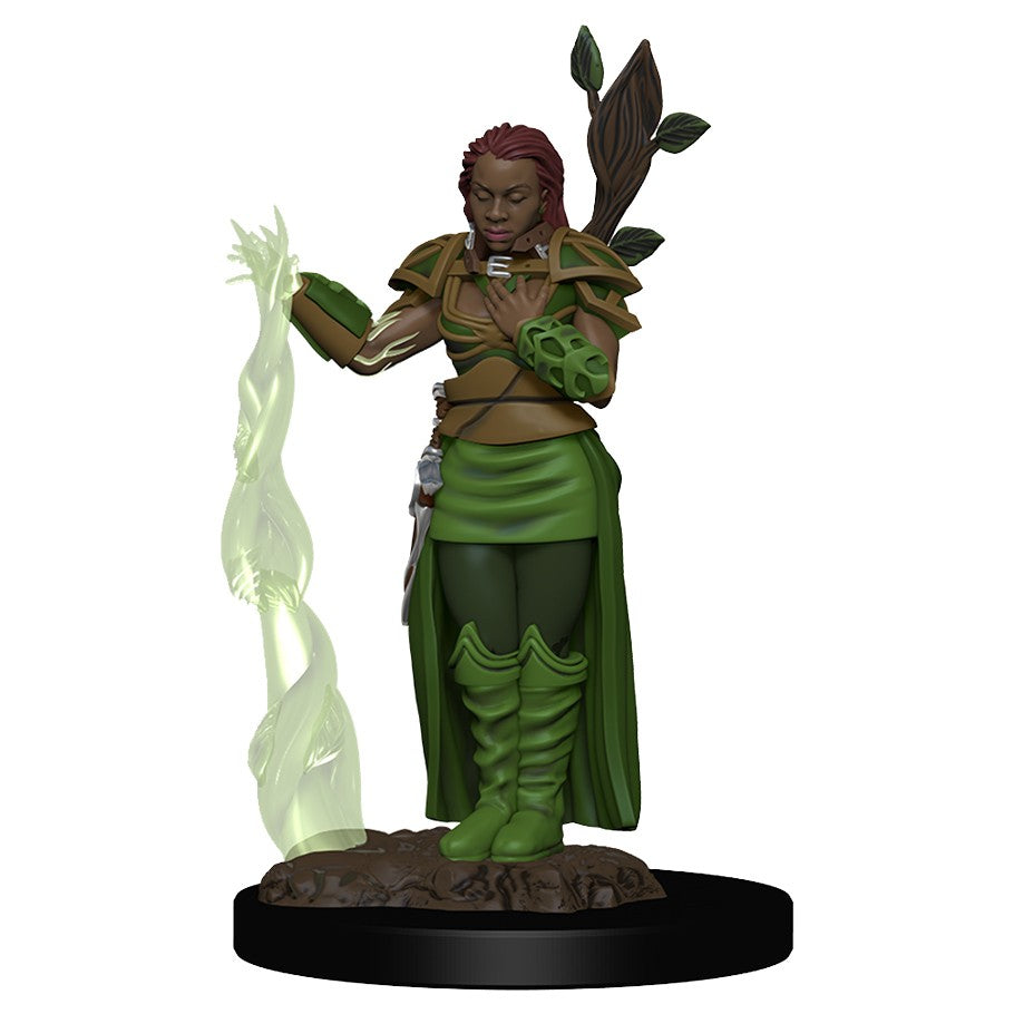 D&D Miniatures: Icons of the Realms - Premium Figure: Wave 02 - Human