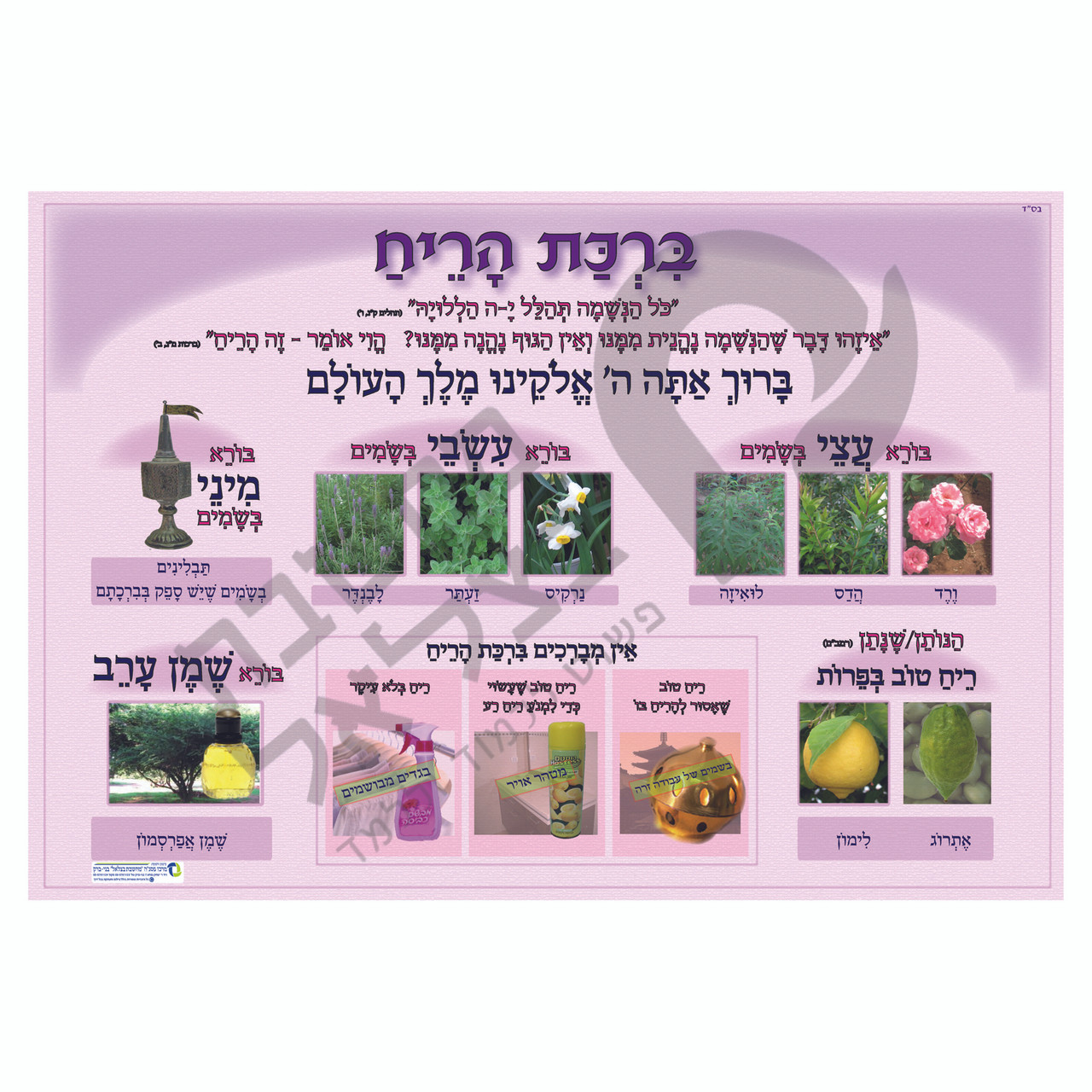Birkat Harei'ach ברכת הריח Poster