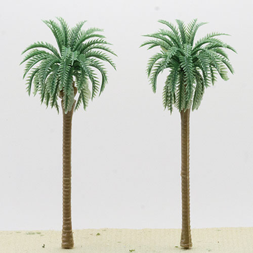 Palm Tree