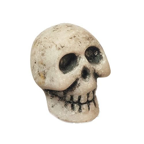 Skeleton Skull