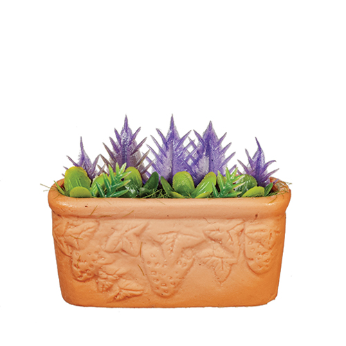 Plants in Planter