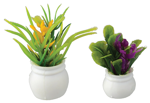 Plants Set, 2 pc.
