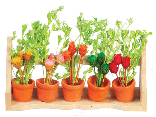 Flower Box/Wild Flowers