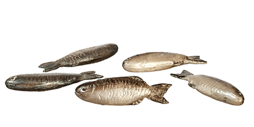 Fish Set/5