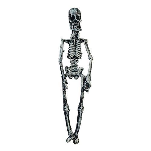 Skeleton