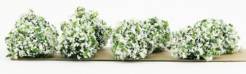 BORDER PLANTS(8), 3/4" WHITE