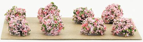 BORDER PLANTS (8), PINK 1/2"