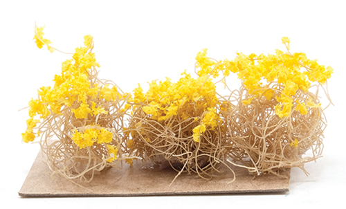 YELLOW BRITTLE BUSHES, 3PC