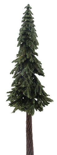 PONDEROSA PINE ON SPIKE, 12 INCHES