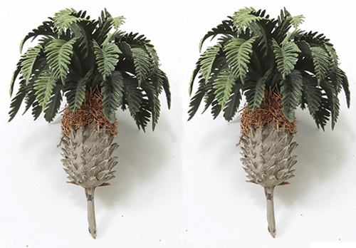 SAGO PALM, 2 PIECE, 2" TALL