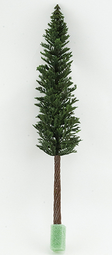 LODGEPOLE PINE ON SPIKE, 18 INCH TALL