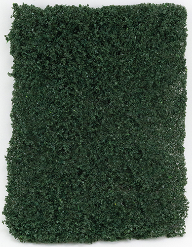 DARK GREEN LEAF MICRO-PHLOX 5" X 7"