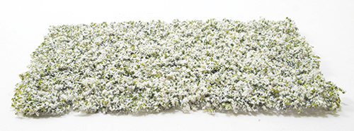 WHITE LEAF MICRO-PHLOX 5" X 7"