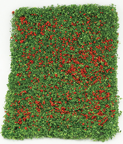 RED ROSE LEAF MICRO-PHLOX 5"X7"