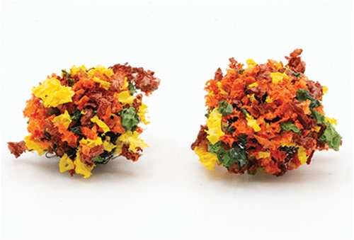 3/4" Autumn Border Plant, 2 Pack