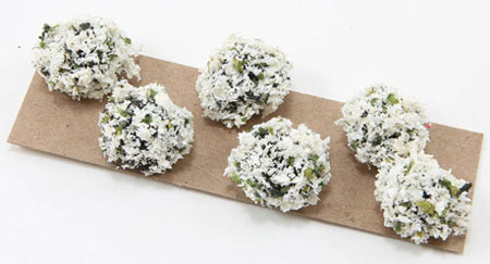 Border Plant, White, Large