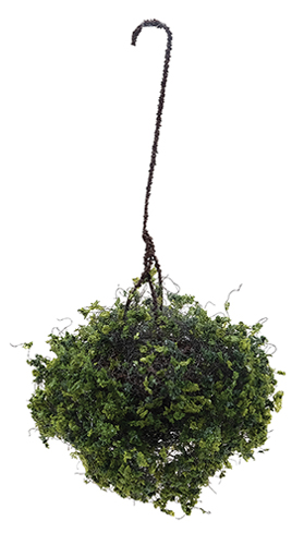 Hanging Basket, Variegated Green, Large