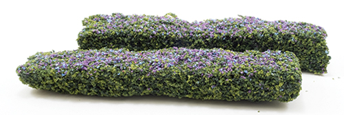 Hedges, Purple/Blue - 2 Hedges