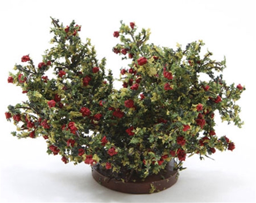 Rose Bush, Large, Red