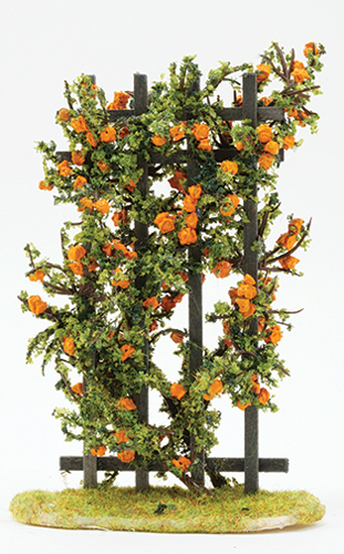 ROSE TRELLIS, ORANGE